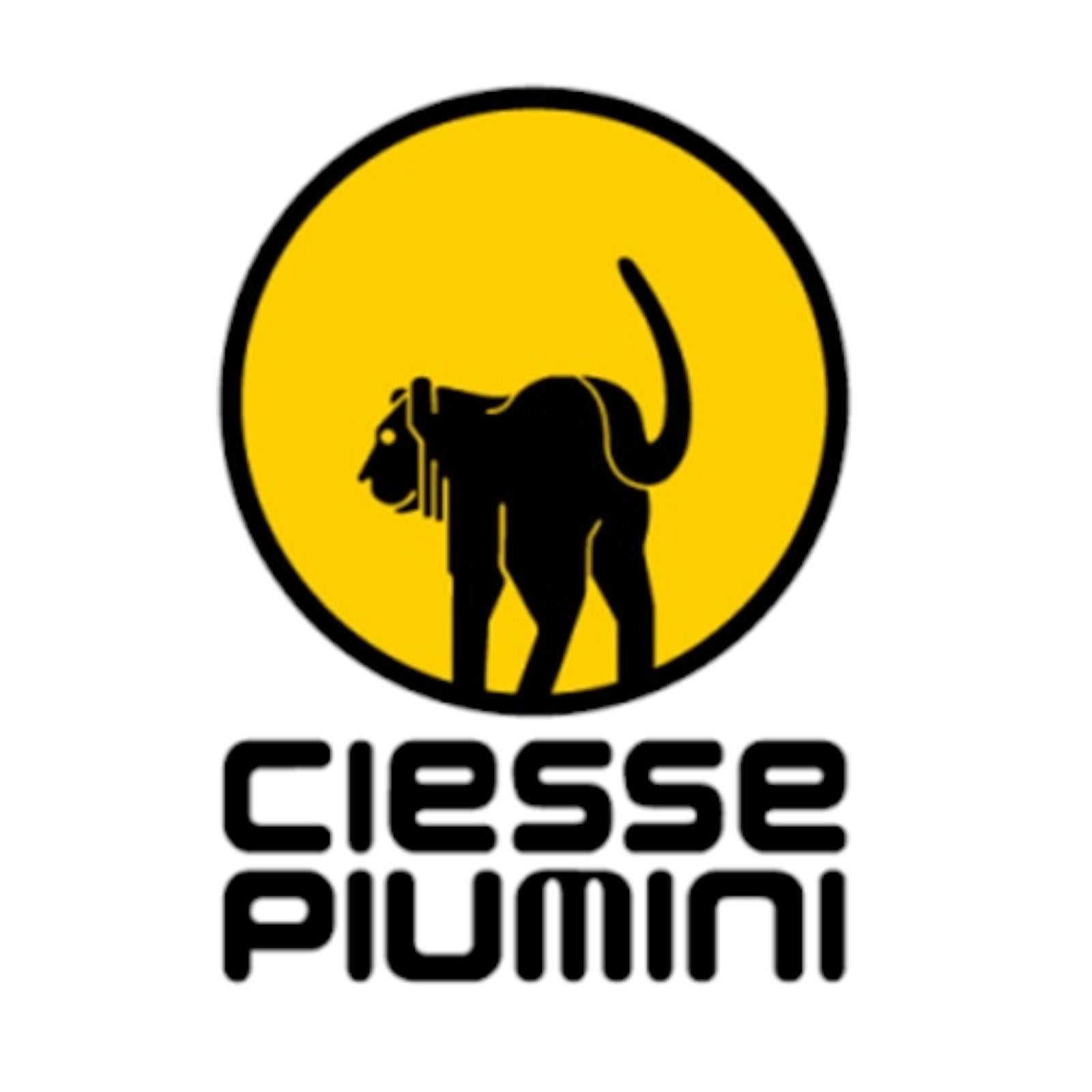 CIESSE PIUMINI