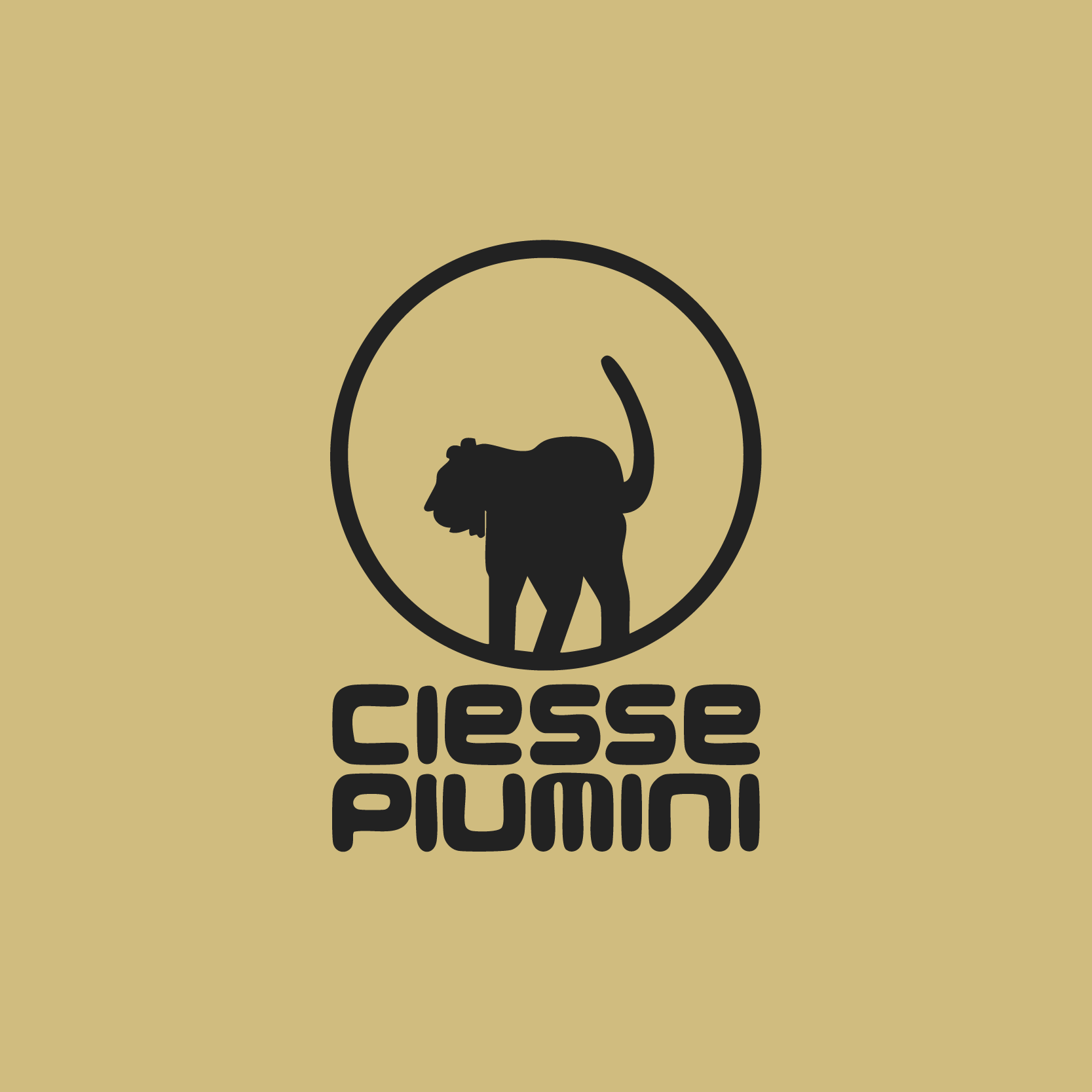 CIESSE PIUMINI